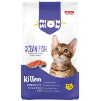 Kitten Ocean Fish