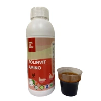 Solinvit Amino